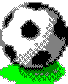 soccer.gif (279 bytes)